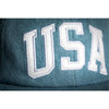 HUF USA DENIM 6 PANEL HAT // DENIM