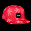 TONAL REFLECTIVE PLANTLIFE SNAPBACK // BURGANDY